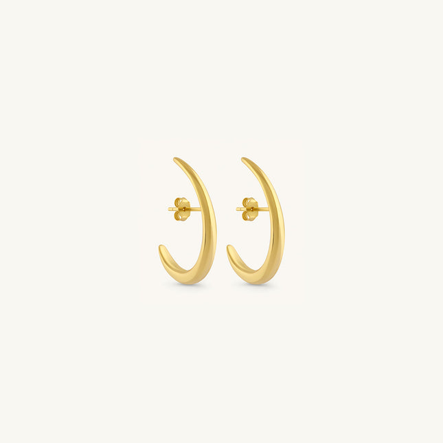 Hook Earrings
